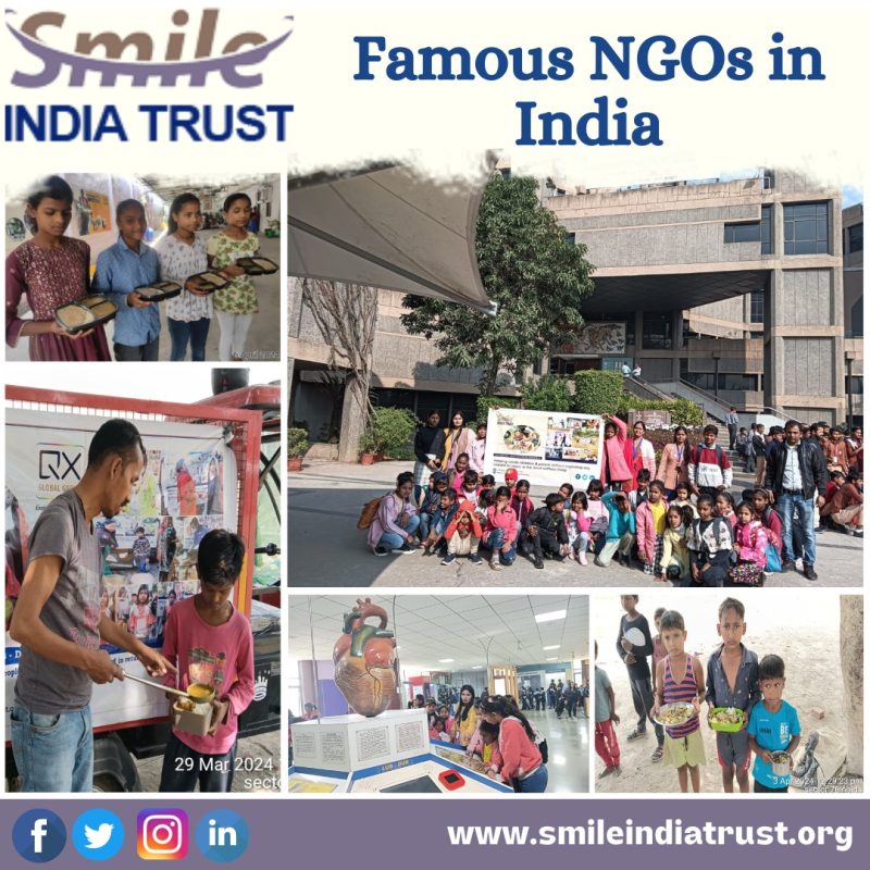 Famous NGOs in India
